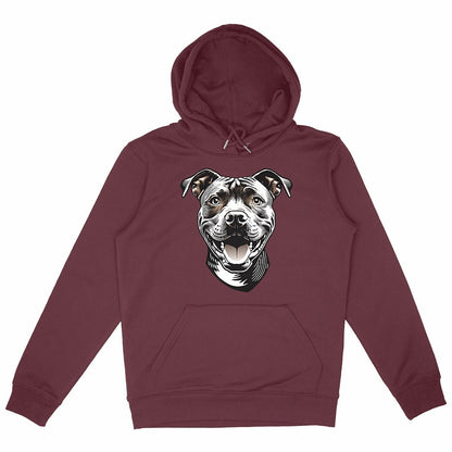 Sweat à capuche épais Unisexe